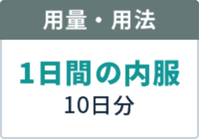 用量・用法 1日間の内服 10日分