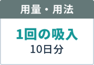 用量・用法 1日間の内服 10日分