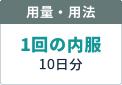 用量・用法 1回の内服 10日分