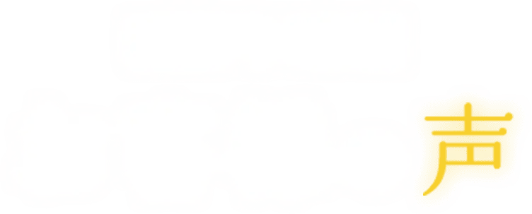 USER'S VOICE お客様の声