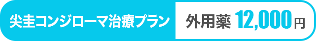 尖圭コンジローマ治療プラン 内服薬12,000円
