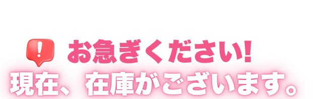 お急ぎください!今なら在庫がございます