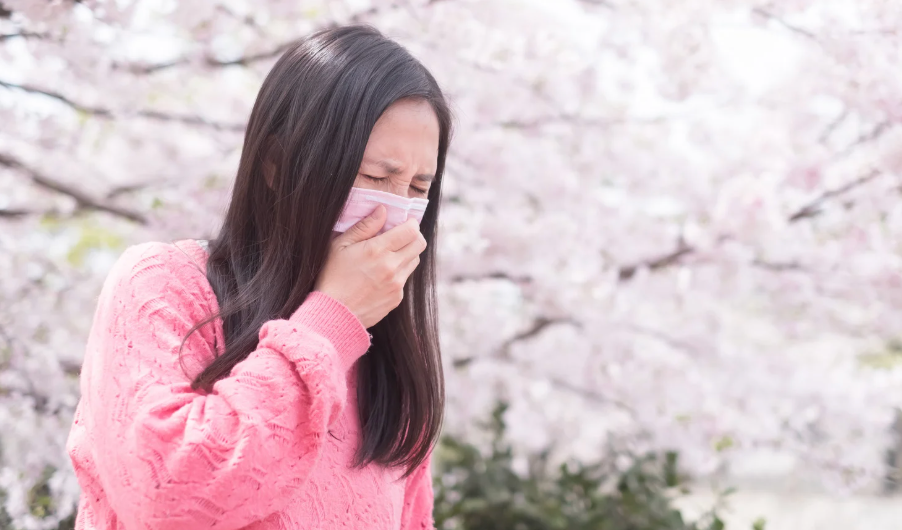 花粉症薬の種類を解説！強さや副作用のランキングも紹介